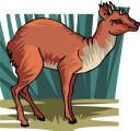 Deer Clipart