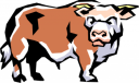 Cow Clipart