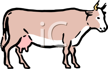 Cow Clipart