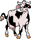 Cow Clipart