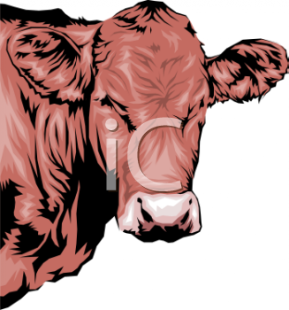 Cow Clipart