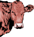 Cow Clipart