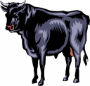 Cow Clipart
