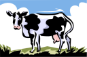 Cow Clipart