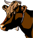 Cow Clipart