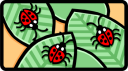 Bug Clipart