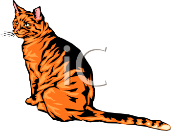 Cat Clipart