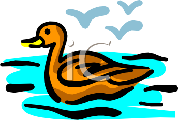 Duck Clipart