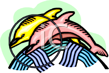 Dolphin Clipart