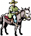 Donkey Clipart