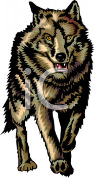 Coyote Clipart