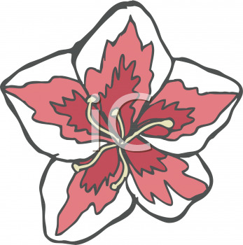 Azalea Clipart