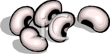 Bean Clipart