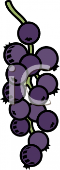 Grape Clipart