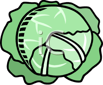 Cabbage Clipart