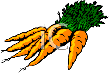 Carrot Clipart