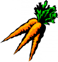 Carrot Clipart
