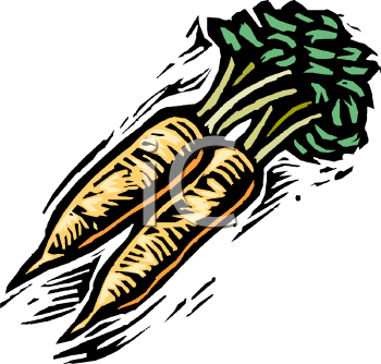 Carrot Clipart