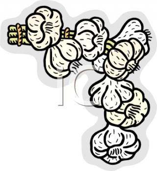 Garlic Clipart