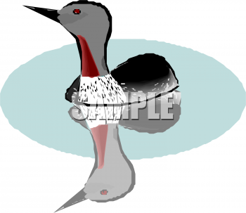 Duck Clipart