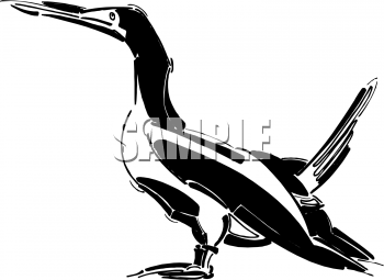 Duck Clipart