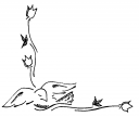 Dove Clipart