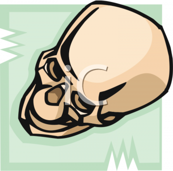 Skeleton Clipart