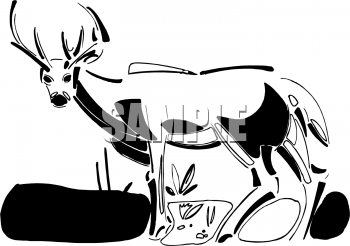 Deer Clipart