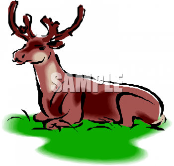 Elk Clipart