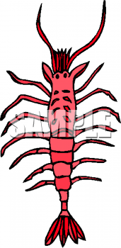 Bug Clipart