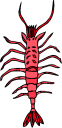 Bug Clipart