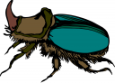 Bug Clipart
