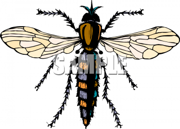 Bug Clipart