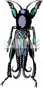 Bug Clipart