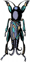 Bug Clipart