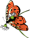 Bug Clipart