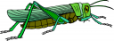 Bug Clipart