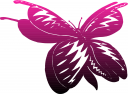Bug Clipart
