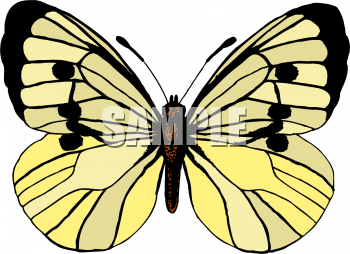 Bug Clipart