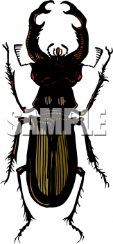 Bug Clipart