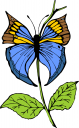 Bug Clipart