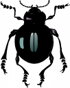 Bug Clipart