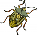 Bug Clipart