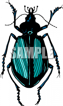 Bug Clipart