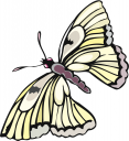 Bug Clipart