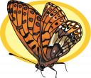 Bug Clipart