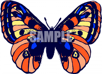 Bug Clipart