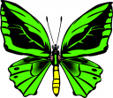 Bug Clipart