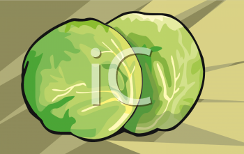 Cabbage Clipart