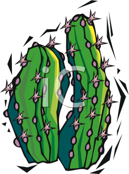 Cactus Clipart